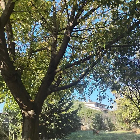 Le Colline Di Castellana Guest house Cerratina